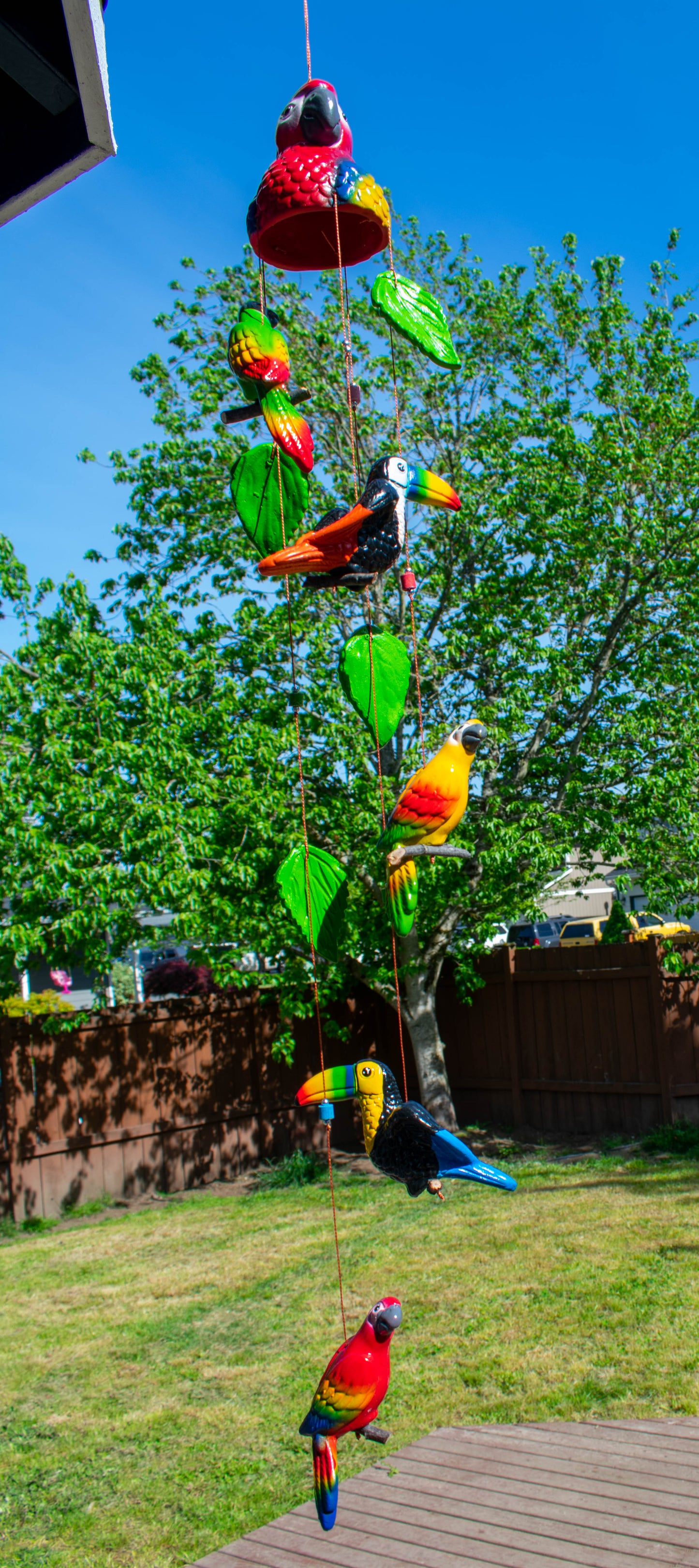 Large Pottery Parrots