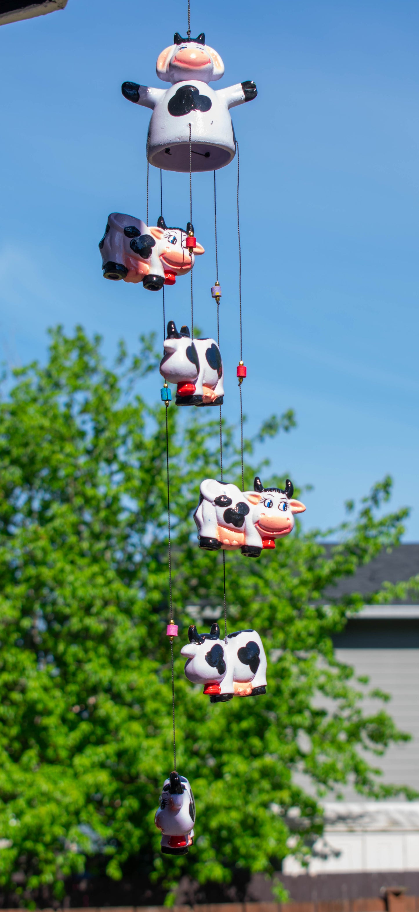 Pottery Cows